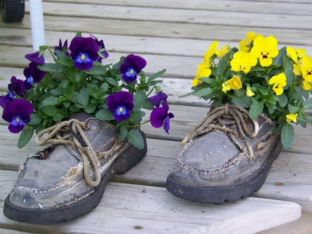 Ayakkabı içine çiçek